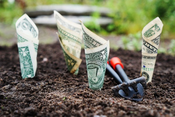money-600x400.jpg