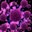viruses-400x400.jpg