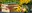 books-sale-400x164.jpg
