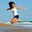 fitness-400x400.jpg