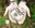 money-hands-480x400.jpg
