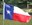 Texas Flag